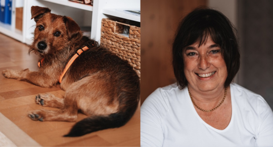 Claudia Ibing Montessori